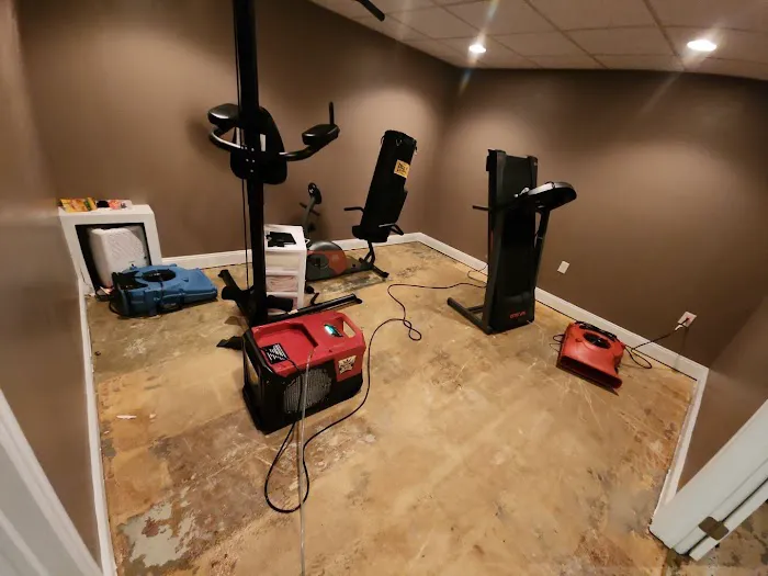 RHome Plus Restoration Picture 7