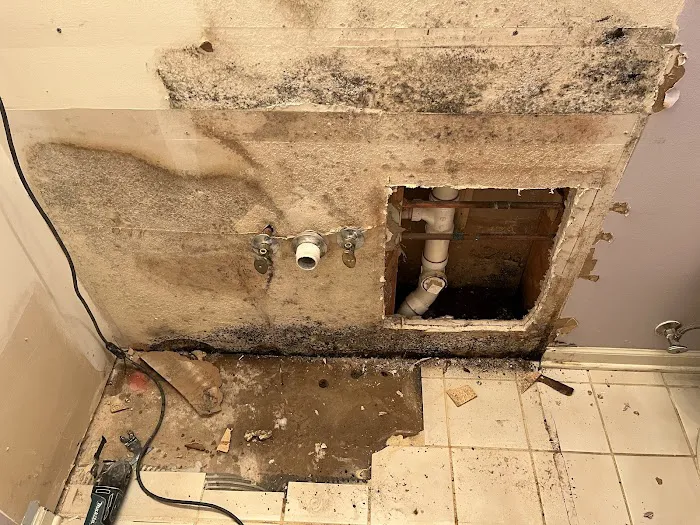 Dynamic Remediation Solutions Inc. Picture 10