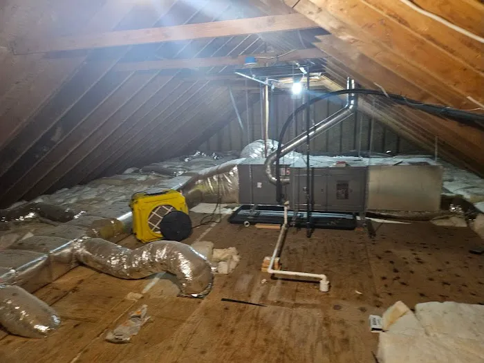 Jun Deegan Picture 4