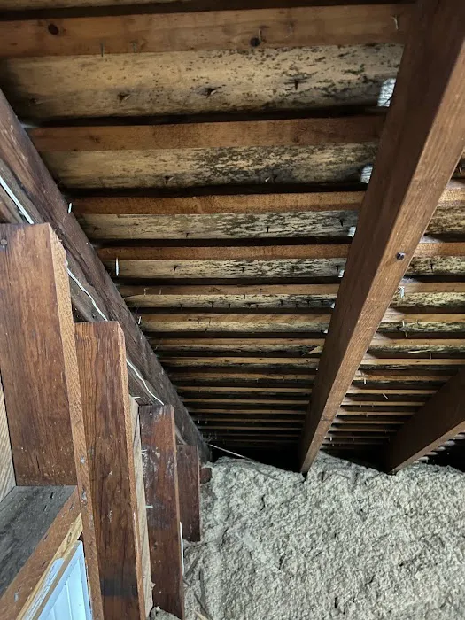 Jun Deegan Picture 7