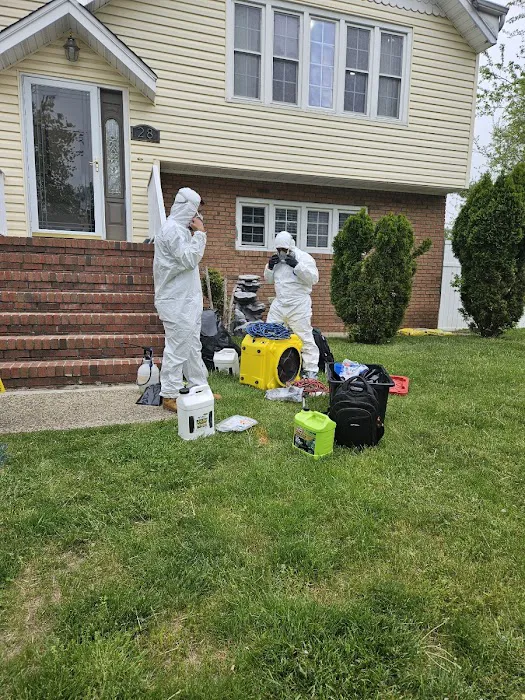 Jun Deegan Picture 9