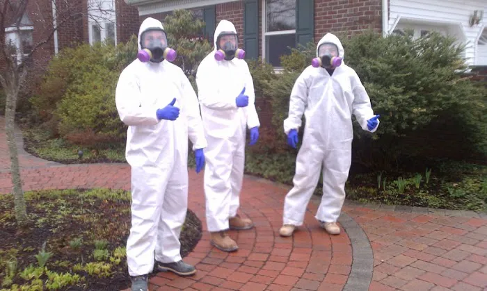 Above & Beyond Mold Inspection & Removal Picture 4