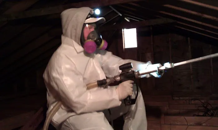 Above & Beyond Mold Inspection & Removal Picture 5