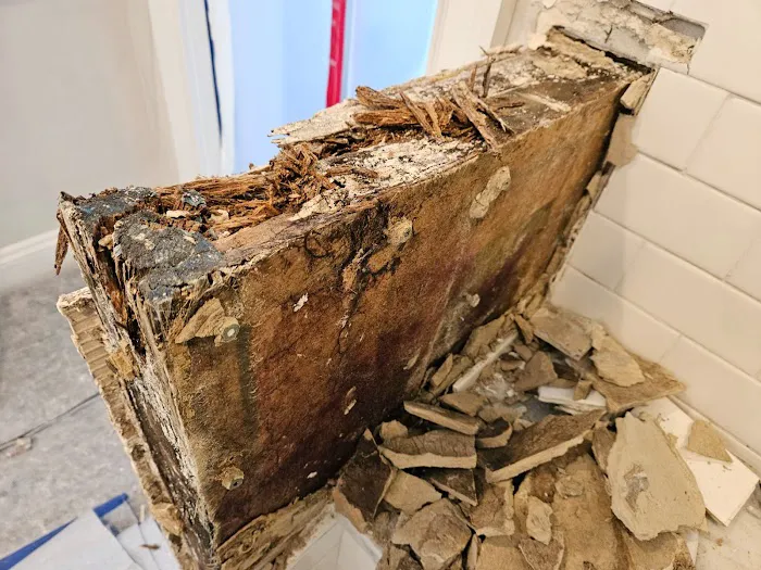 DRYmedic Restoration Services Picture 1