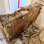 DRYmedic Restoration Services