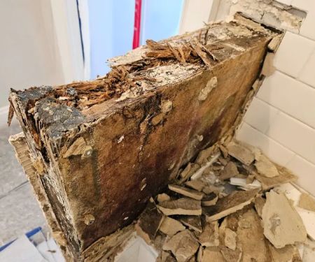 DRYmedic Restoration Services