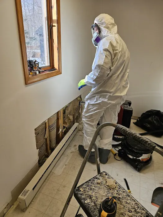 DRYmedic Restoration Services Picture 7