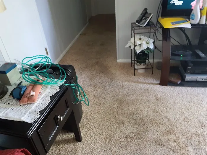 Stanley Steemer Picture 1