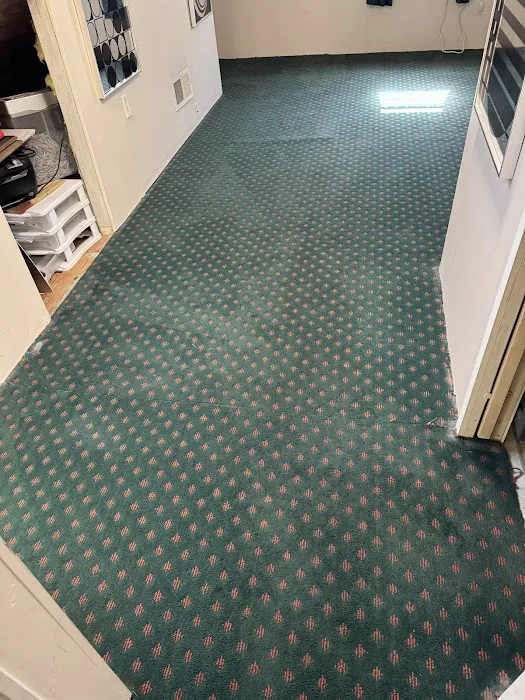 Stanley Steemer Picture 3