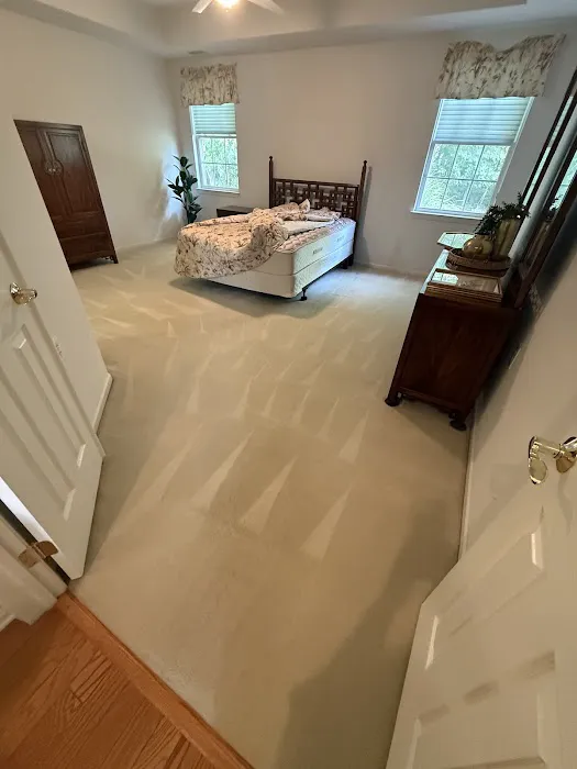 Stanley Steemer Picture 2