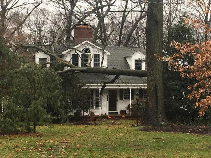 JC Alvar Construction LLC Picture 10