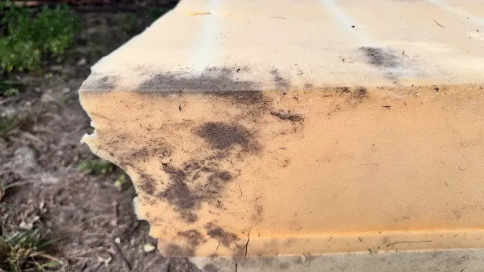 CPR Restoration & Cleaning Services Picture 2