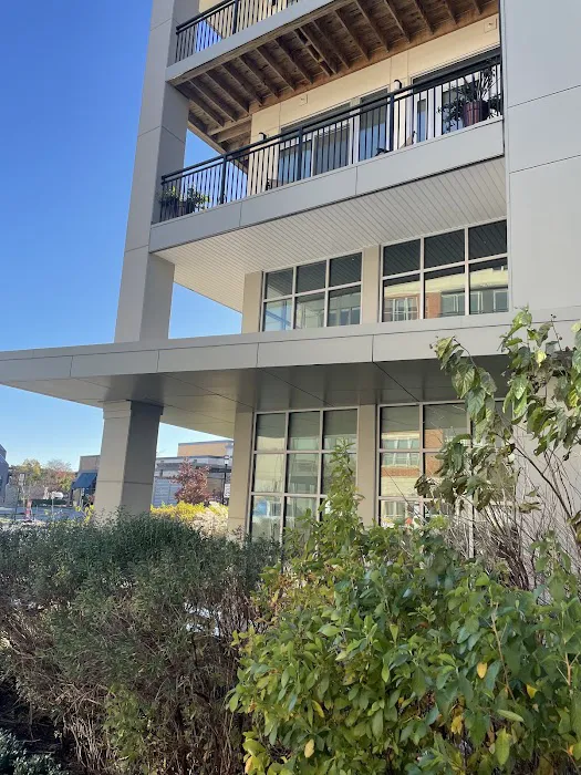 Disaster Solutions Inc Picture 10