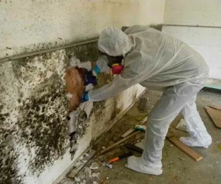 Philadelphia Disaster Restoration