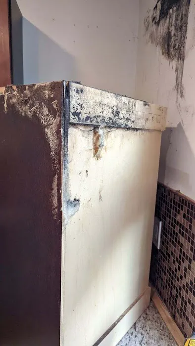 Philadelphia Disaster Restoration Picture 3