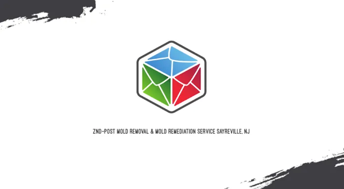 ZND-Post Mold Removal & Mold Remediation Service Sayreville, NJ Picture 1