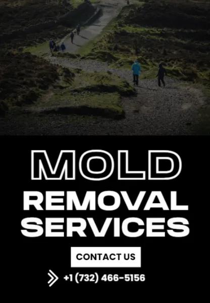 ZND-Post Mold Removal & Mold Remediation Service Sayreville, NJ Picture 2