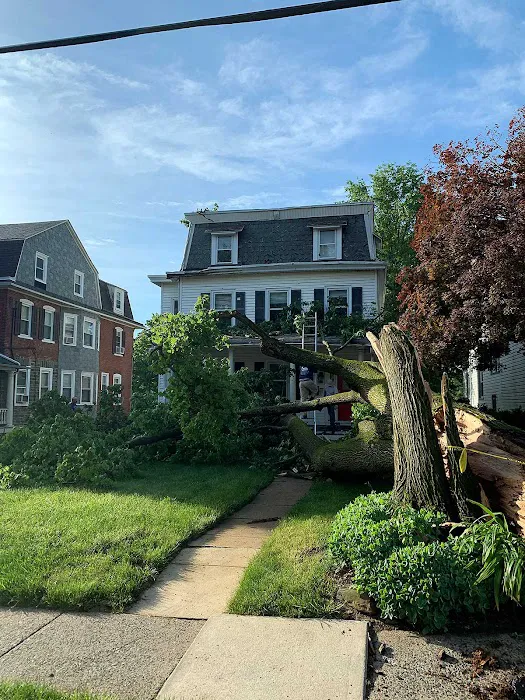 Gumibers, LLC Picture 7