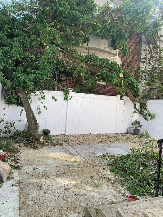 Gumibers, LLC Picture 1