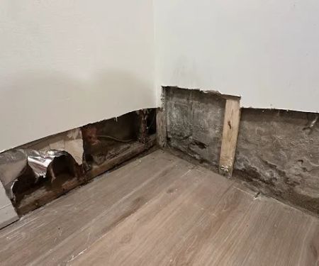 Jefferson Water Damage & Restoration Philadelphia