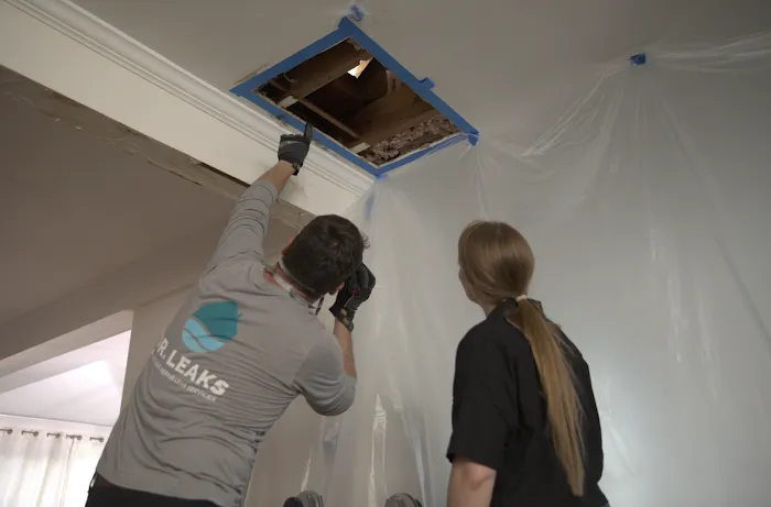 Dr. Leaks: Detect & Repair Leak Services Picture 10