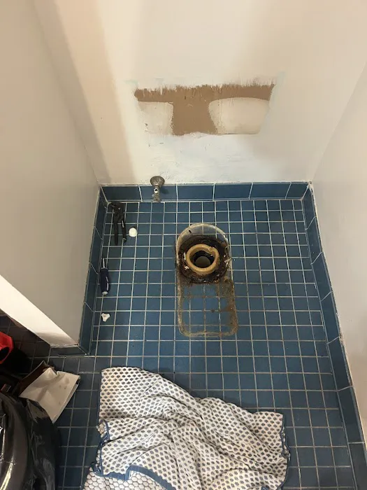 Precision Plus Picture 7