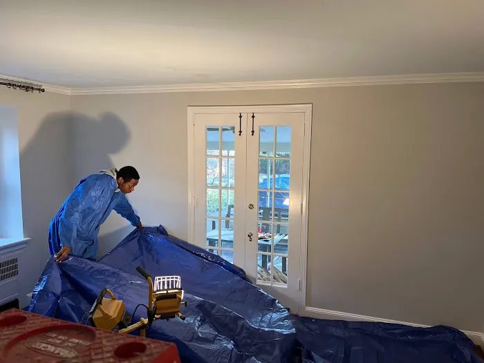 Precision Plus Picture 6