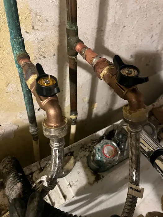 Precision Plus Picture 2