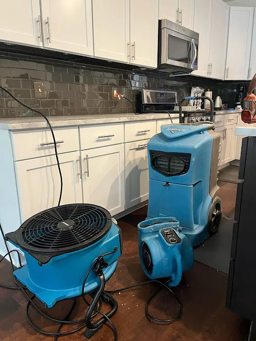 Precision Plus Picture 3