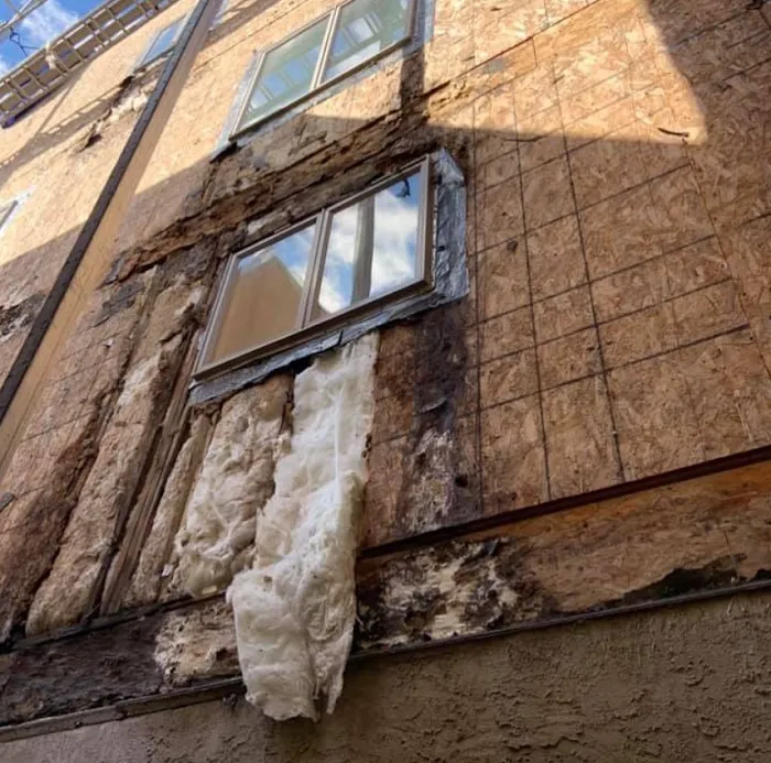 Anvil Remediation & Restoration Picture 9