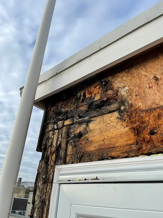 Anvil Remediation & Restoration Picture 6