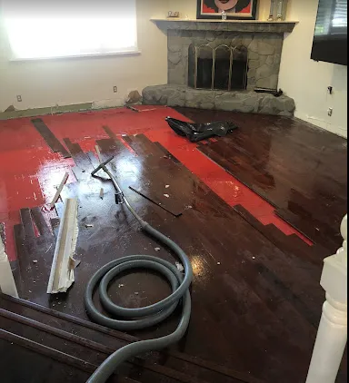 Philadelphia Pros Picture 1