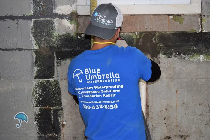 Blue Umbrella Waterproofing Picture 3