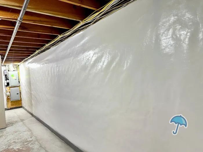 Blue Umbrella Waterproofing Picture 1