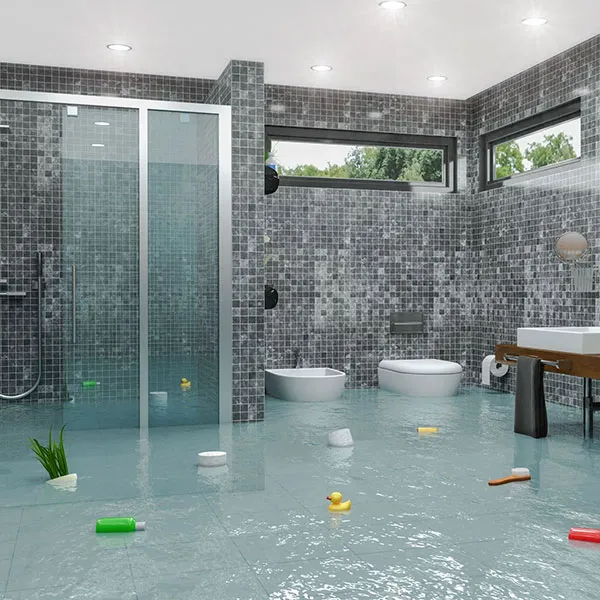 Clean Care Inc Picture 7