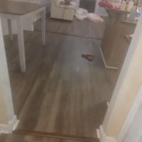 F&M Services Group Inc. ico