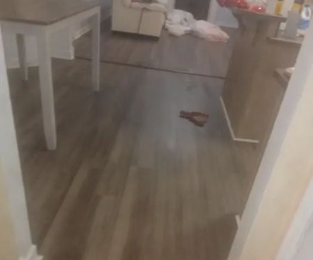 F&M Services Group Inc.