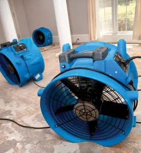 Capital Property Recovery Picture 1