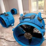 Capital Property Recovery