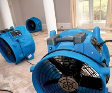 Capital Property Recovery