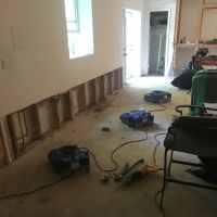 Ace Multi-Cleaning and Restoration Services ico