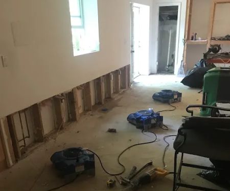 Ace Multi-Cleaning and Restoration Services