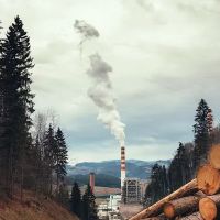 Old Line Smoke Experts ico