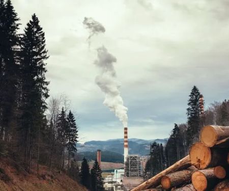 Old Line Smoke Experts