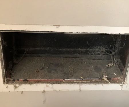 Silver Lake Restoration