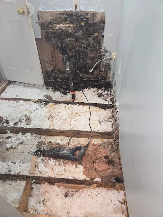 Quality Ensure LLC Picture 10