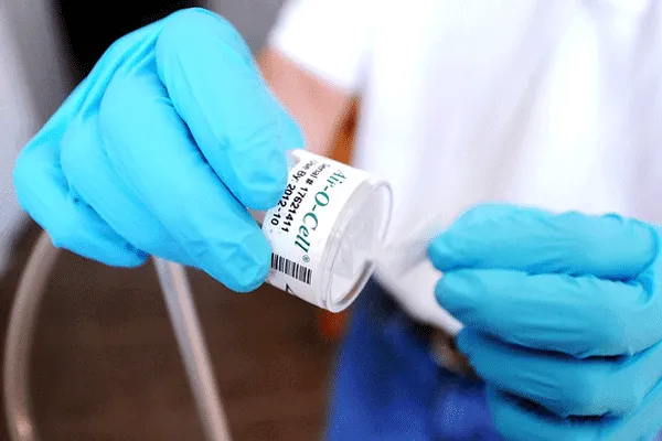 All Restored Picture 9