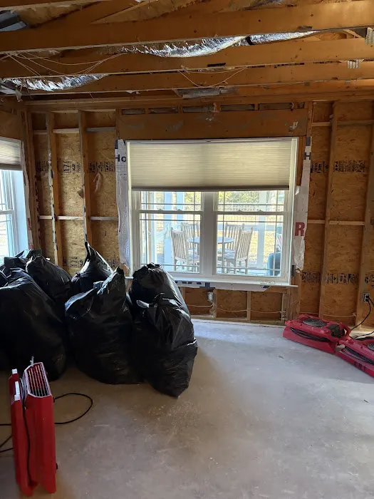 All Restored Picture 1