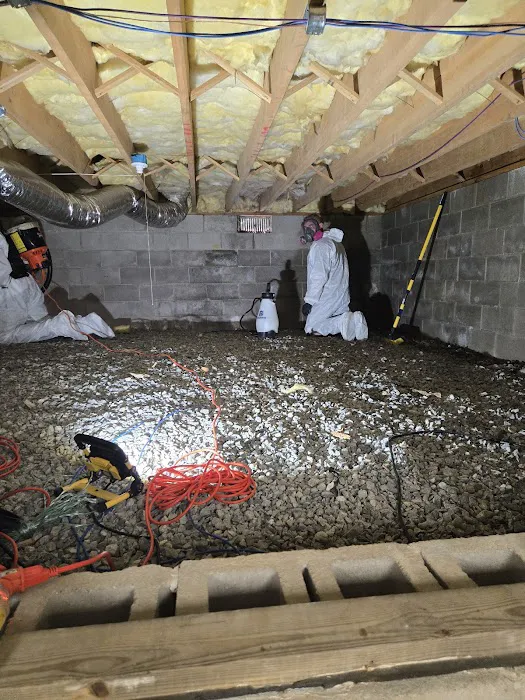 The Restoration Group Picture 6