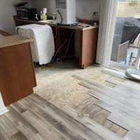 The Restoration Group ico